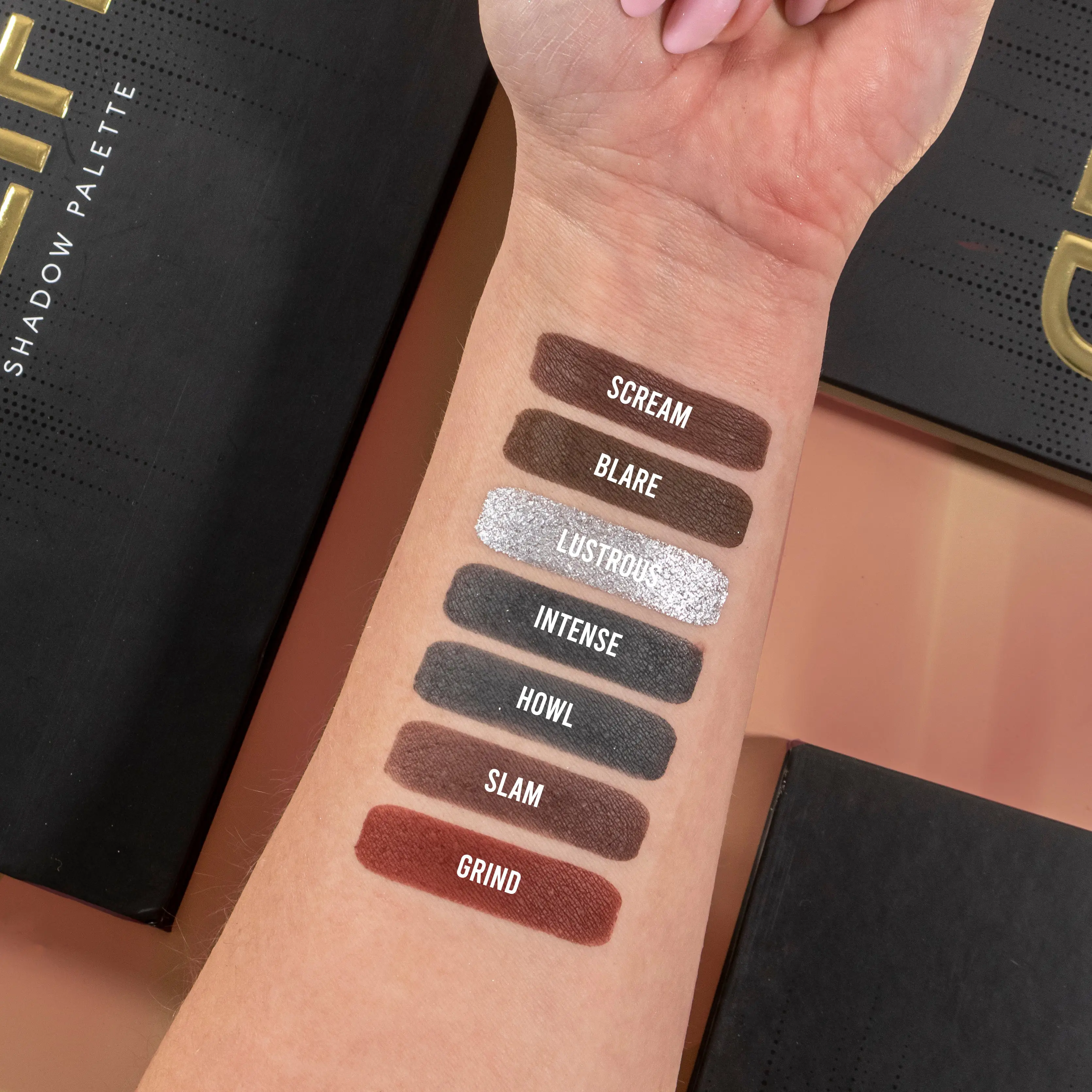 Amplified Palette - Image 8