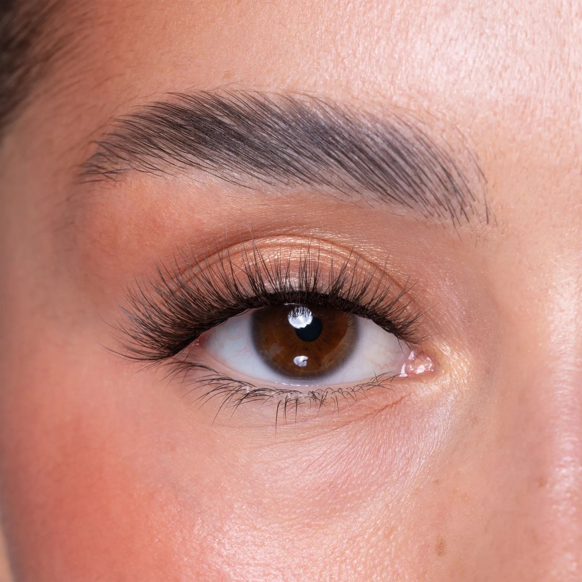 BYCC - Luxury Vegan Lash - Image 9